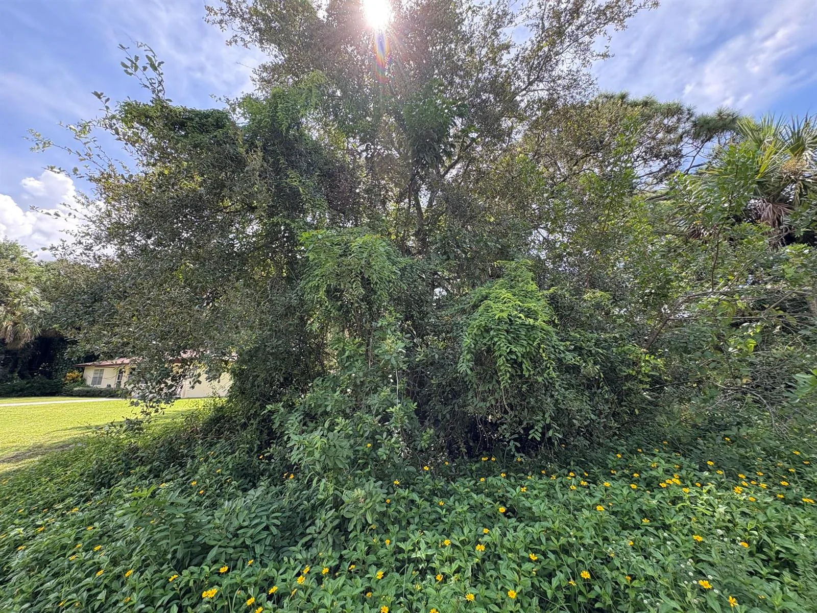 Santa Clar Santa Clara Boulevard, Port St. Lucie, FL 34951 photo 2