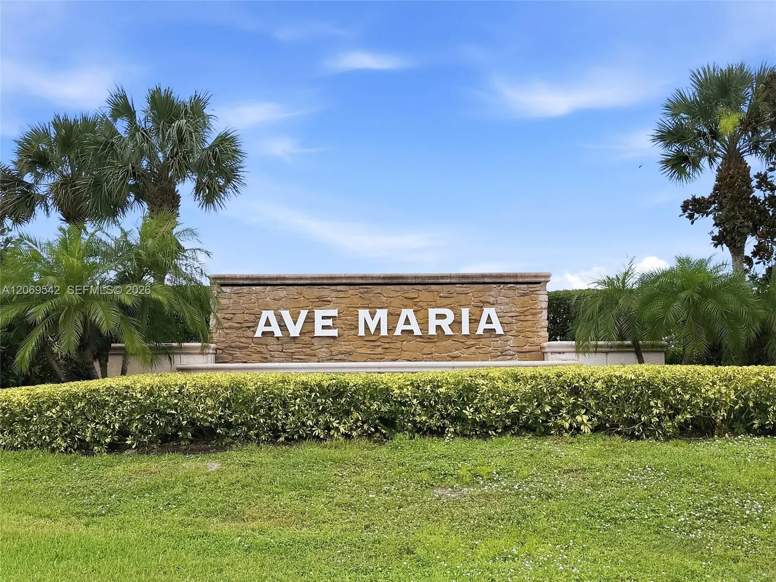 4779 Corrado Ave, Ave Maria, FL 34142 photo 7