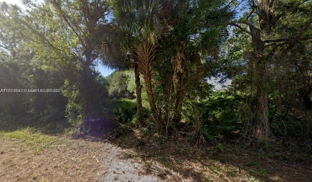 18363 Jefferson Ave, Port Charlotte, FL 33954 photo 2