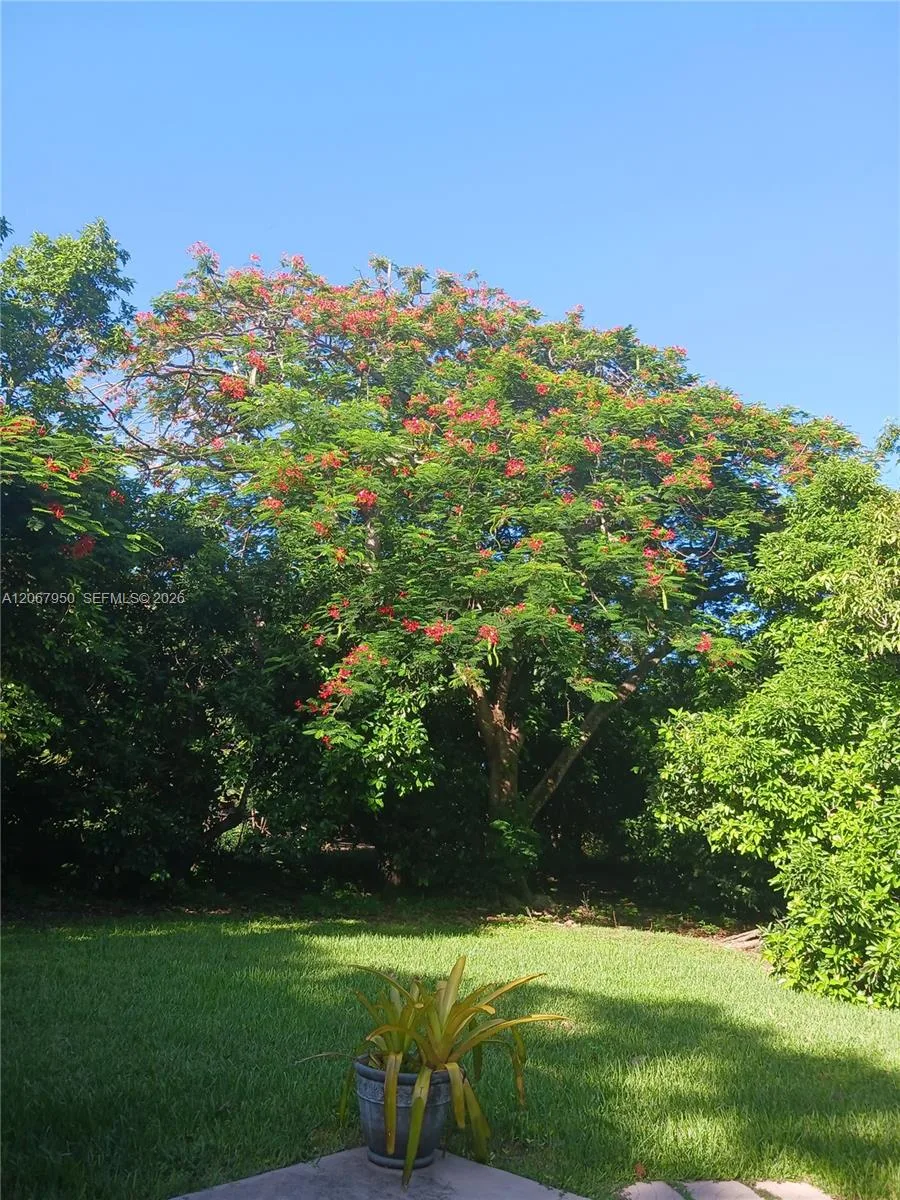 13960 SW 248th St, Homestead, FL 33032 photo 11