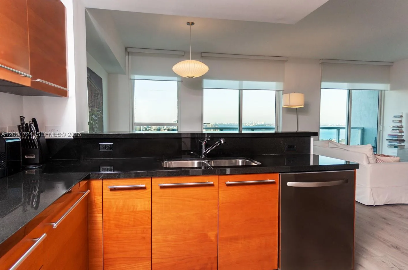 244 Biscayne Blvd # 4104, Miami, FL 33132 photo 5