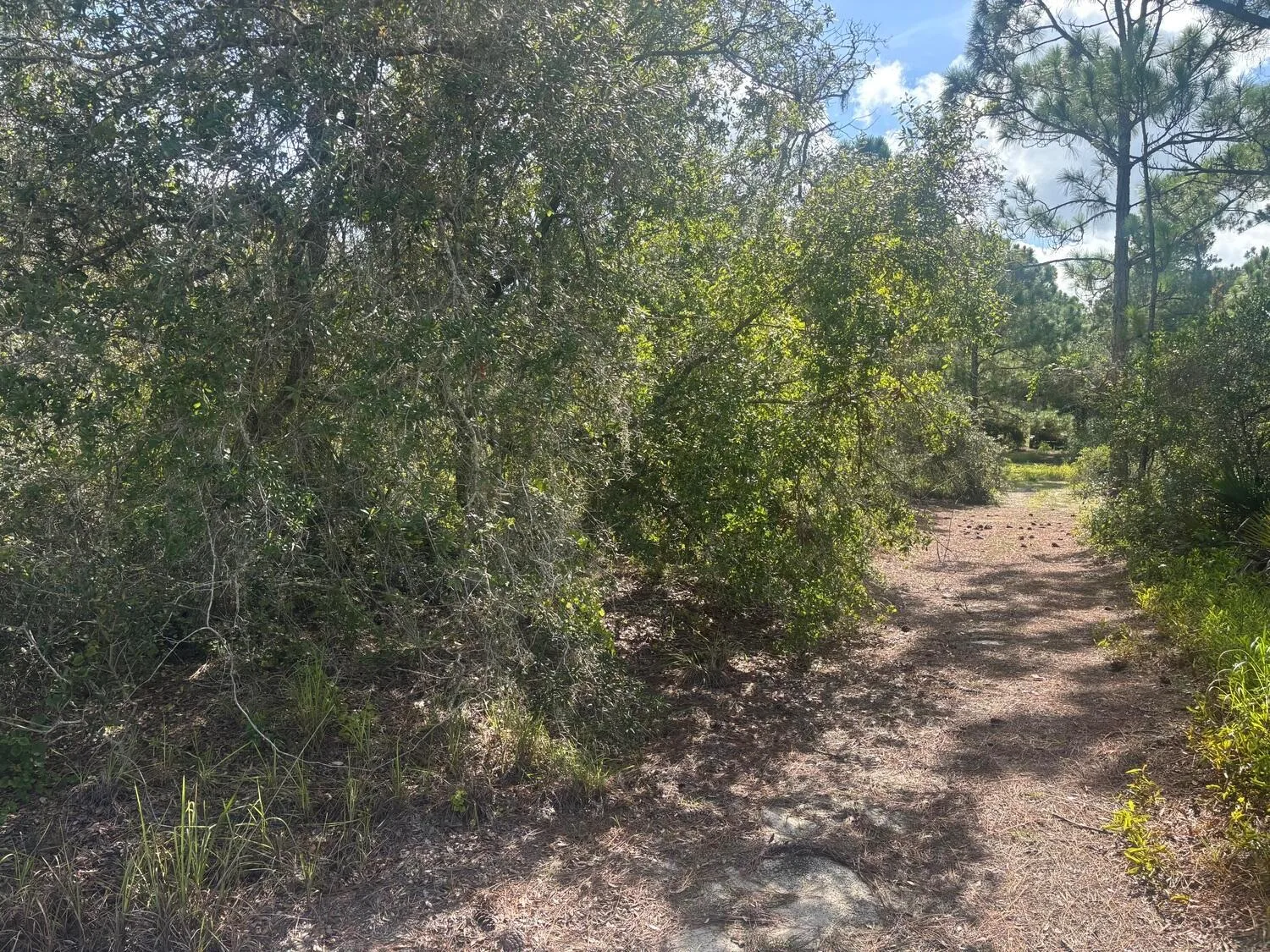 336 Stardust Avenue, Lake Placid, FL 33852