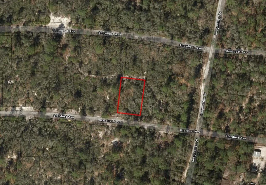 336 Stardust Avenue, Lake Placid, FL 33852 — zdjęcie 3