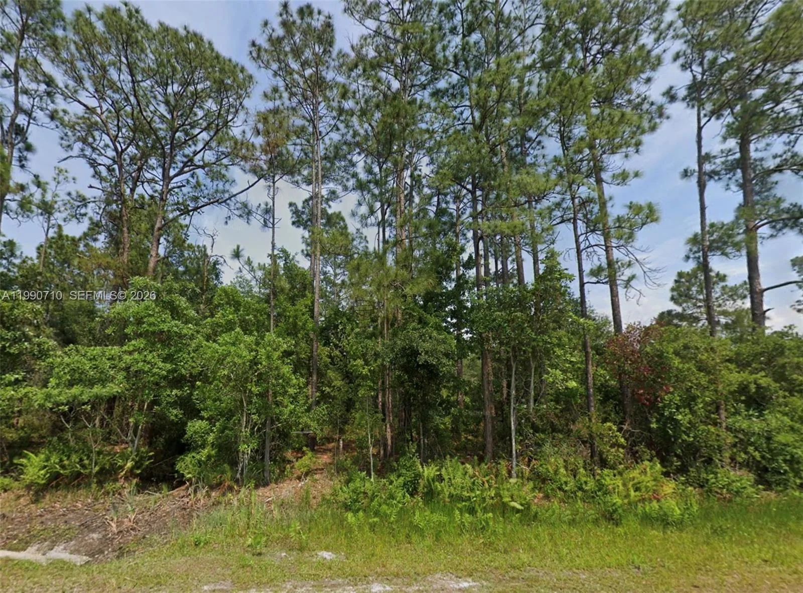 4300 BALBOA, Sebring, FL 33872 photo 3