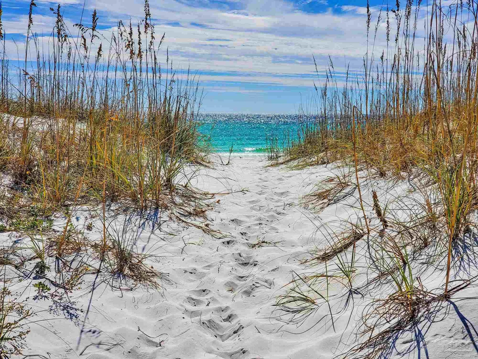 1008 Ariola Dr, Pensacola Beach, FL 32561 photo 9