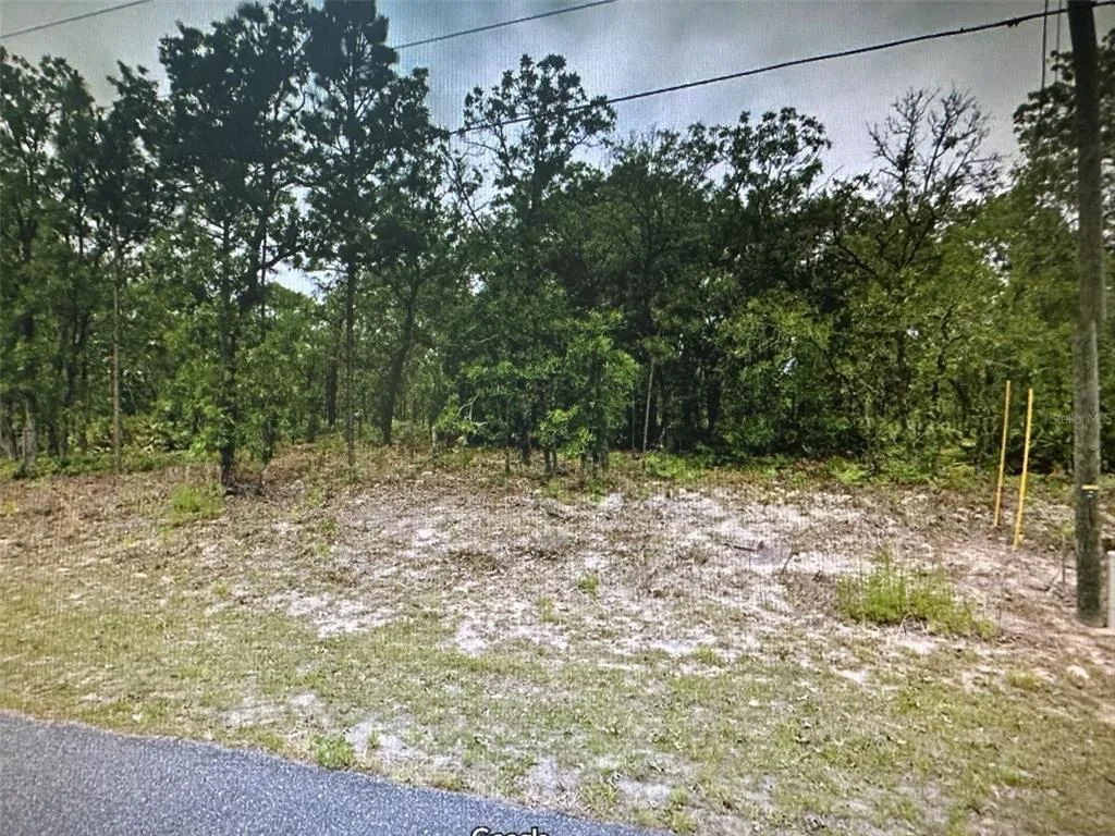 2466 W SWANSON DRIVE, CITRUS SPRINGS, FL 34434