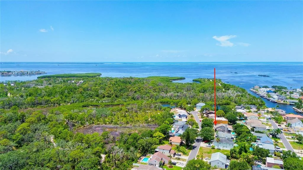14 BAYWOOD DRIVE, PALM HARBOR, FL 34683