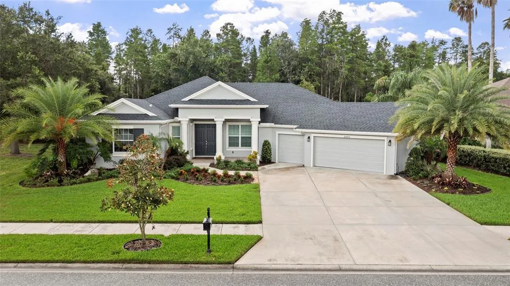 20454 LACE CASCADE RD, LAND O LAKES, FL 34637