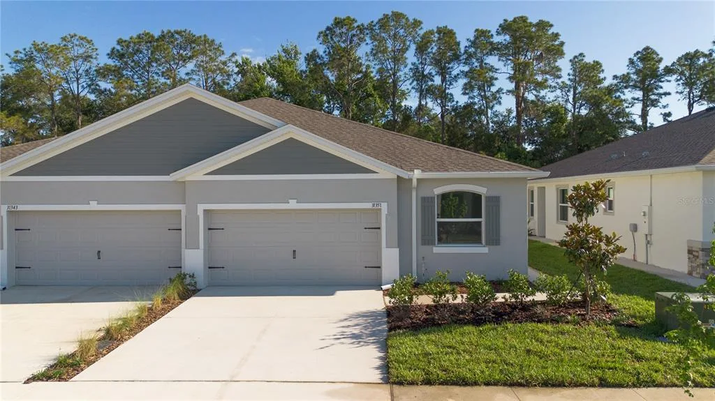 31351 PAPER BIRCH STREET, WESLEY CHAPEL, FL 33545