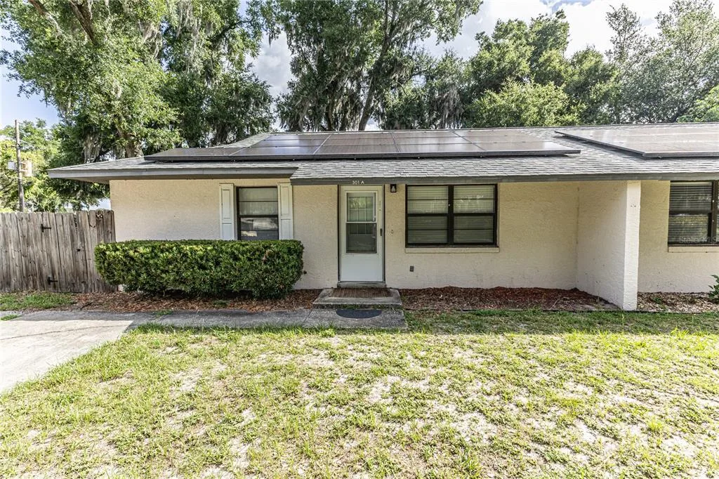301 CURRY STREET, WILDWOOD, FL 34785