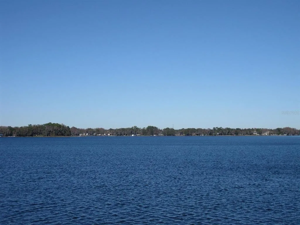 18618 WAYNE ROAD, ODESSA, FL 33556