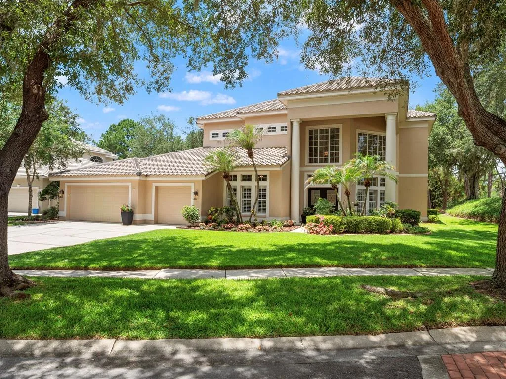 17422 HEATHER OAKS PLACE, TAMPA, FL 33647