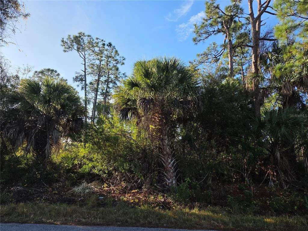 23507 SPENCER COURT, PUNTA GORDA, FL 33980