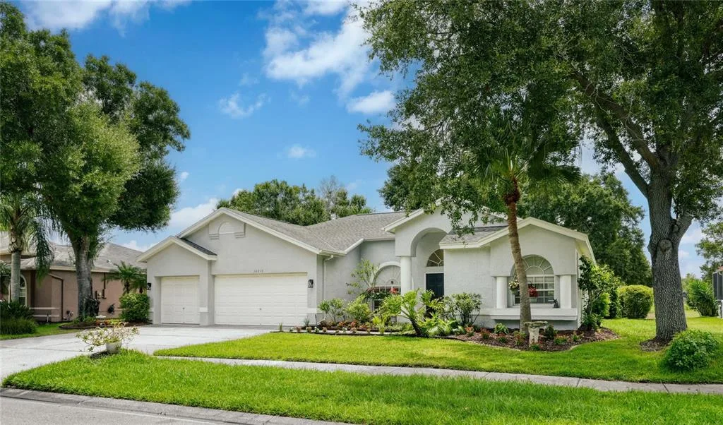 16215 HOYLAKE DRIVE, ODESSA, FL 33556
