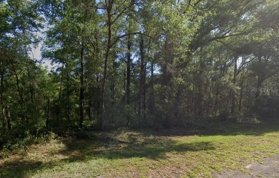 471 E AVONDALE DRIVE, CITRUS SPRINGS, FL 34434