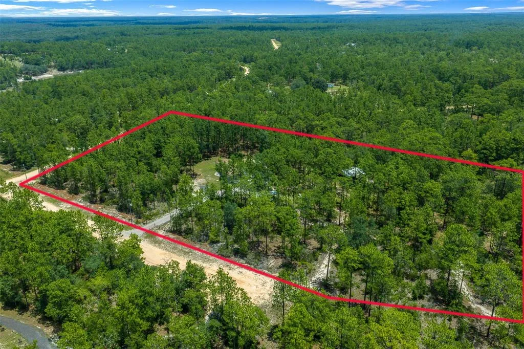 105 BUCK RUN TRAIL, HAWTHORNE, FL 32640
