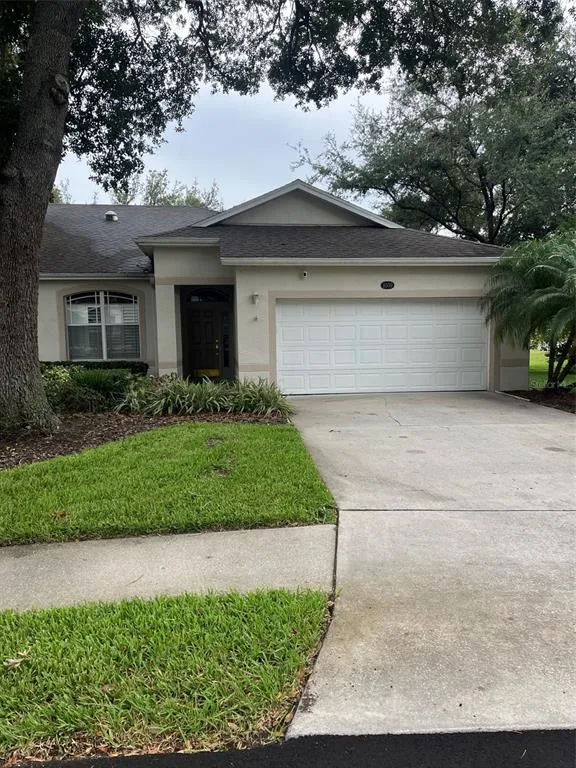 8509 ALEXANDRA ARBOR LANE, TAMPA, FL 33637