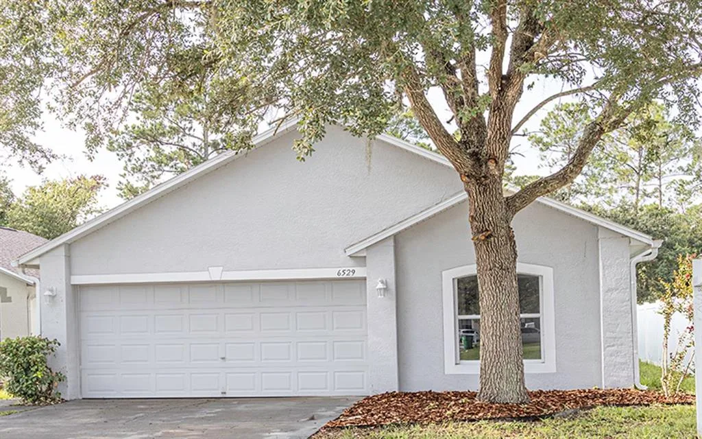 6529 TABOGI TRAIL, WESLEY CHAPEL, FL 33545