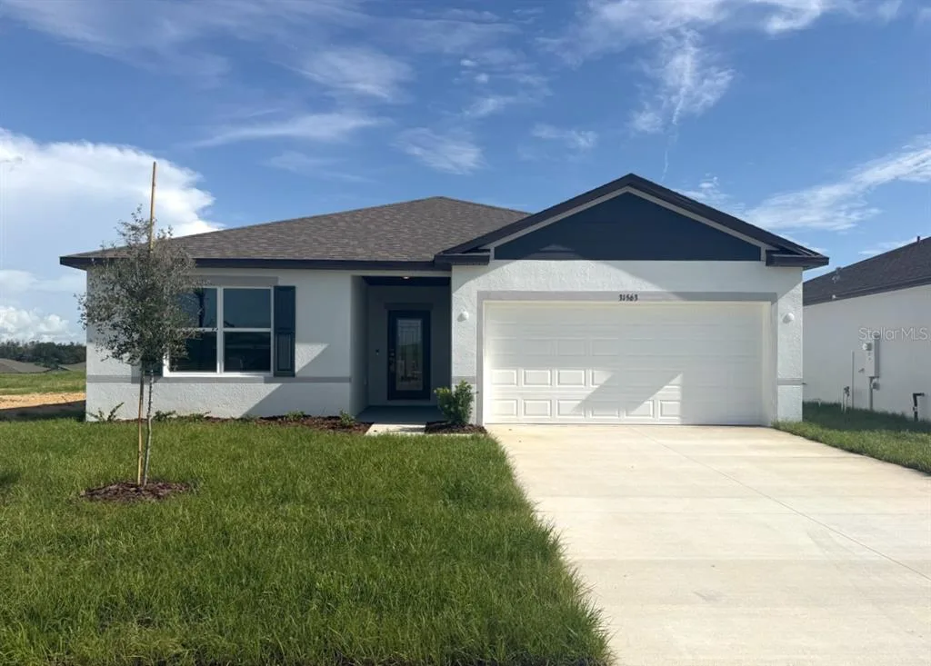 31563 WILD GRAPE LANE, BROOKSVILLE, FL 34602