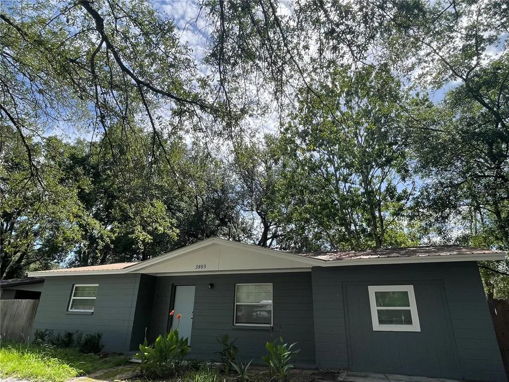3803 NE 13TH STREET, GAINESVILLE, FL 32609