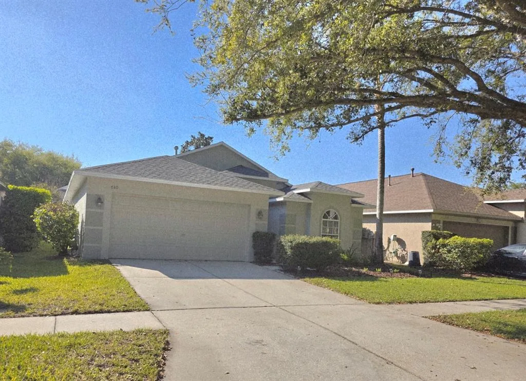 730 STRAW LAKE DRIVE, BRANDON, FL 33510