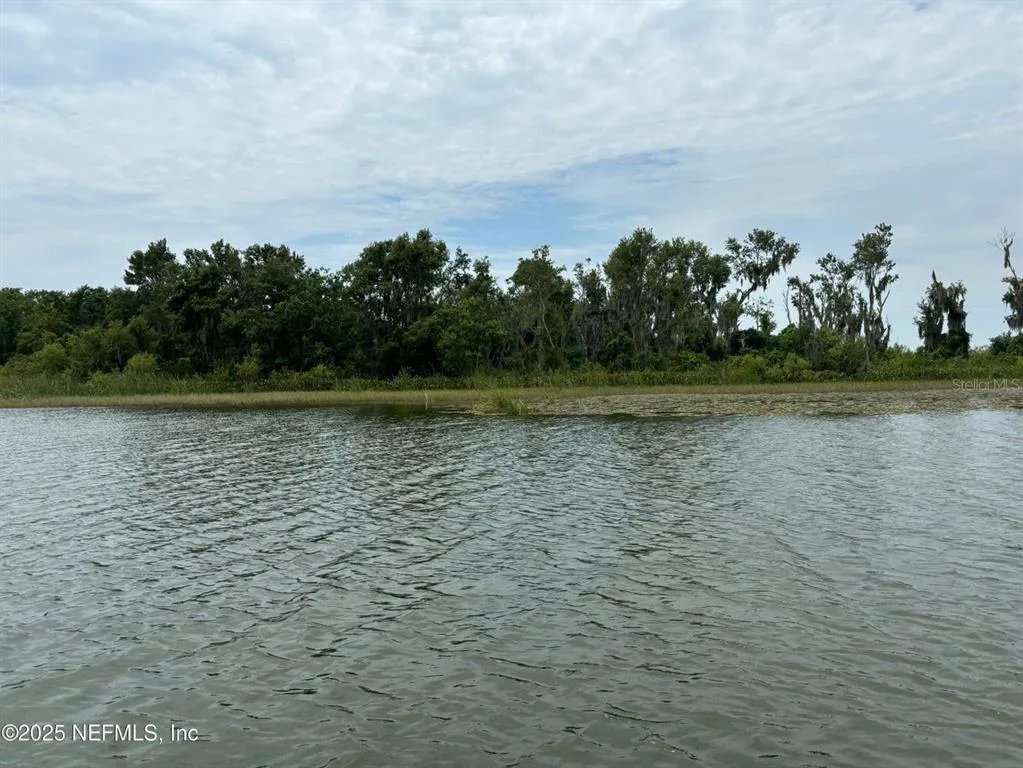 6001 BIRD ISLAND DRIVE, LADY LAKE, FL 32159