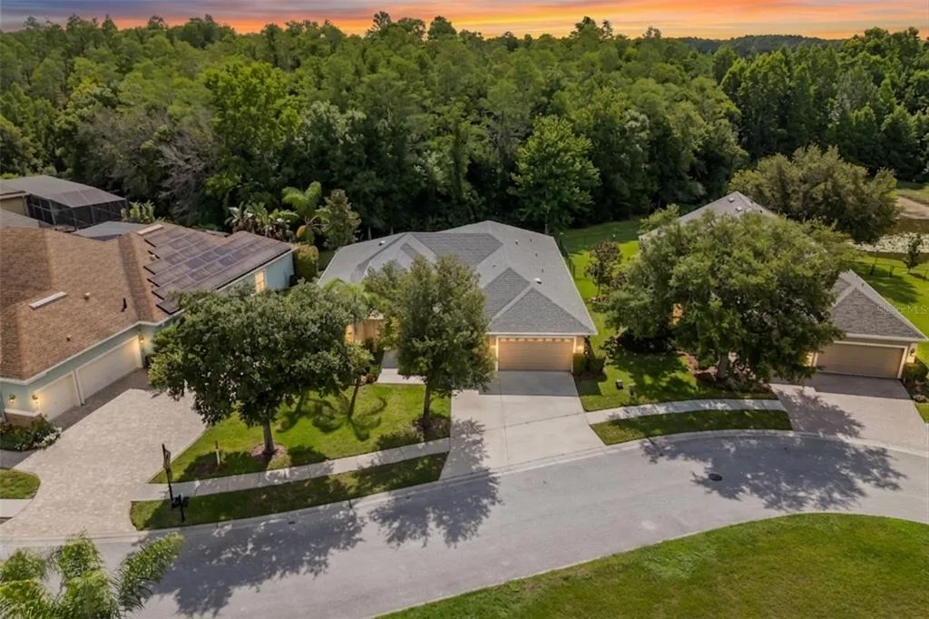 14834 MAN O WAR DRIVE, ODESSA, FL 33556