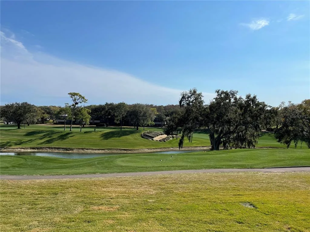 36750 US HIGHWAY 19 N # 14-211, PALM HARBOR, FL 34683