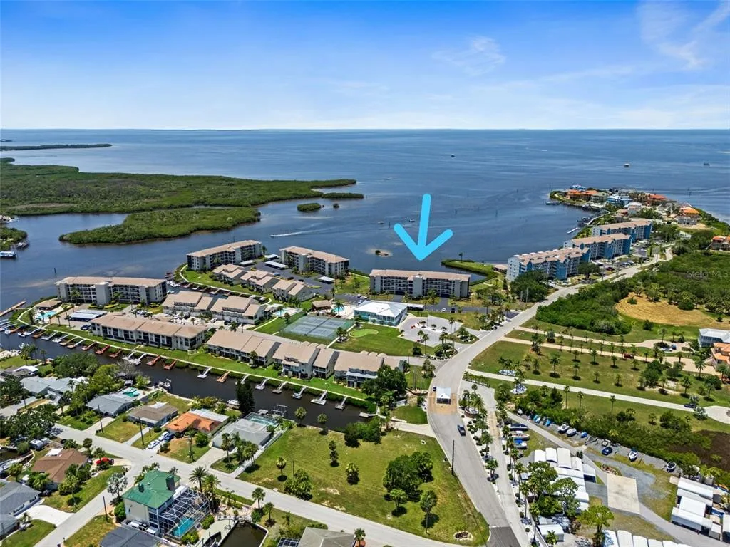 8251 BRENT STREET # 915, PORT RICHEY, FL 34668