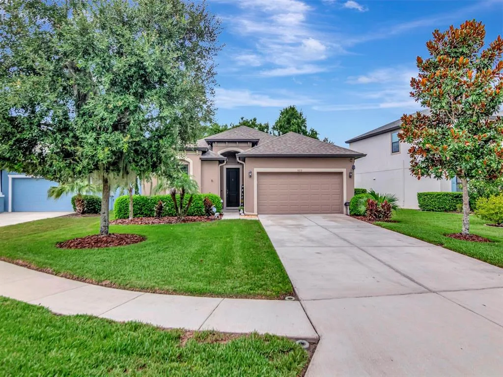 8213 SUMMER BROOK COURT, LAND O LAKES, FL 34638