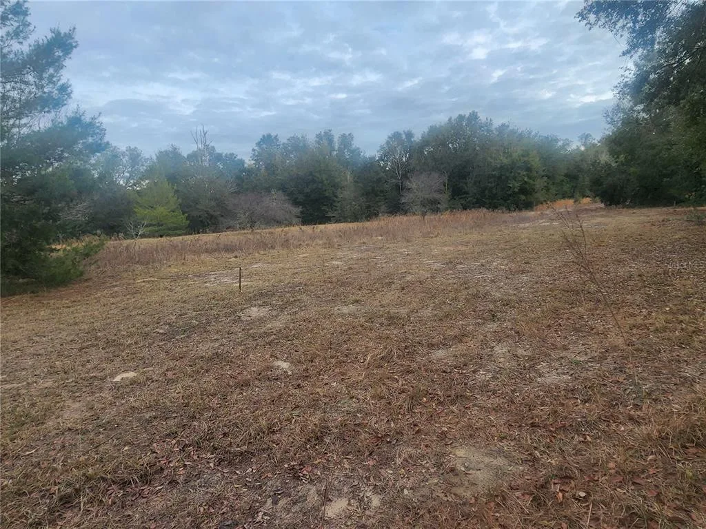 2407 JACKSON STREET, INVERNESS, FL 34453
