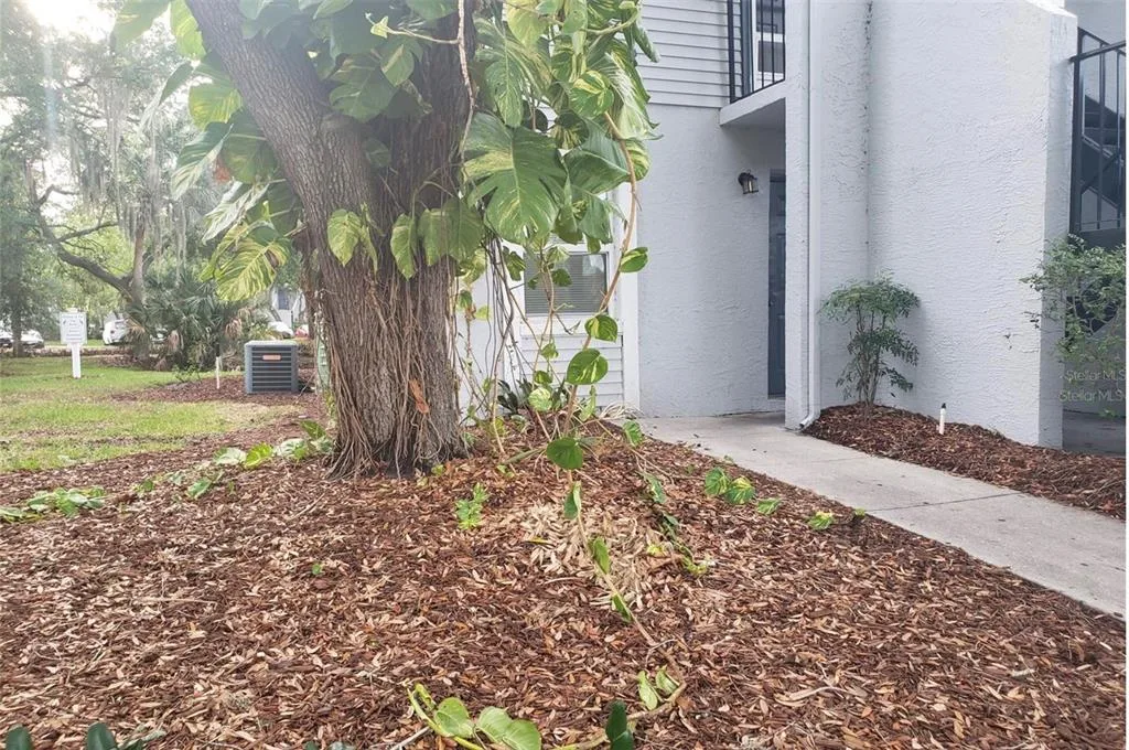 7100 WATERSIDE DRIVE, TAMPA, FL 33617