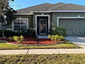 10117 CELTIC ASH DRIVE, RUSKIN, FL 33573