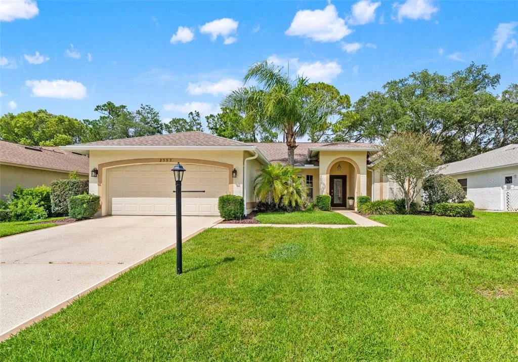 2593 CRYSTAL LAKE DRIVE, SPRING HILL, FL 34606