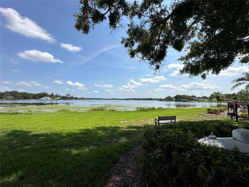 13709 JUNIPER BLOSSOM DRIVE # 0, TAMPA, FL 33618