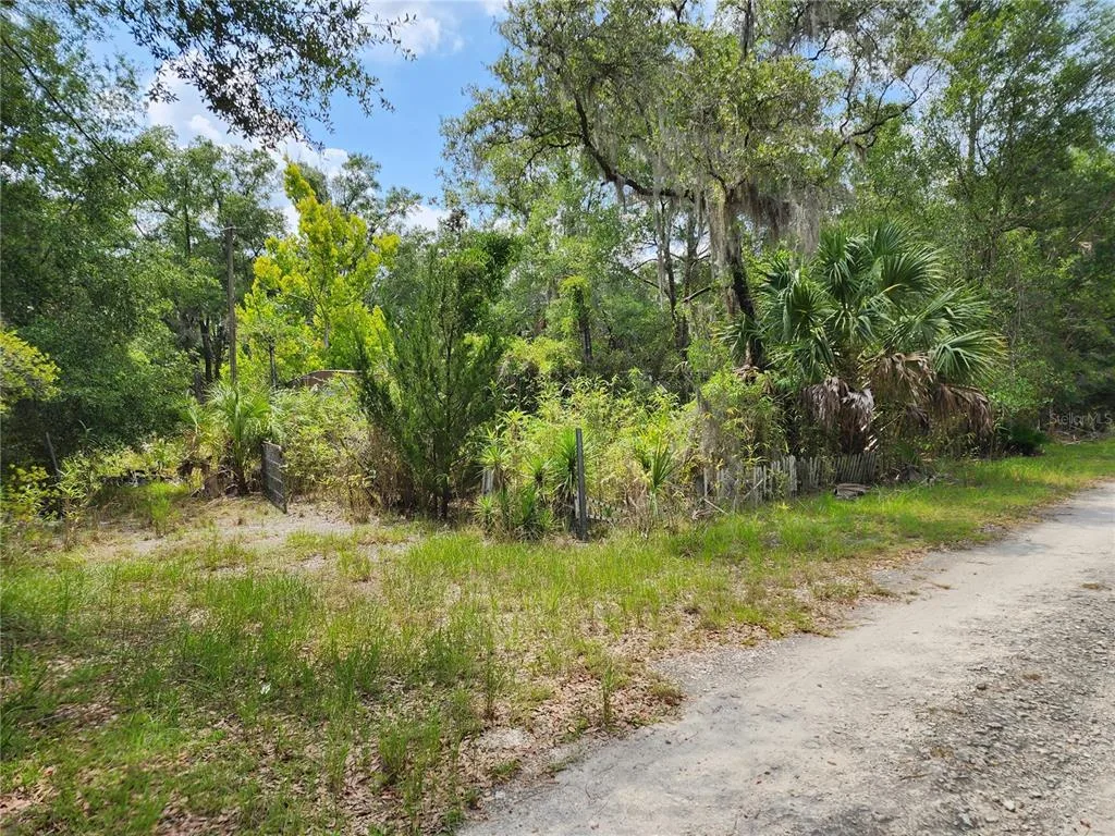11335 N GINNY LANE POINT, INGLIS, FL 34449
