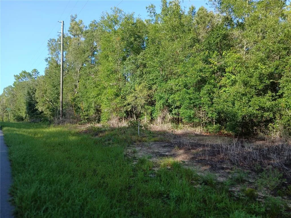 10762 N ACADEMY DRIVE, CITRUS SPRINGS, FL 34434