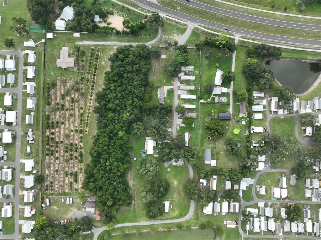 37351 CARRINGER ROAD, DADE CITY, FL 33523