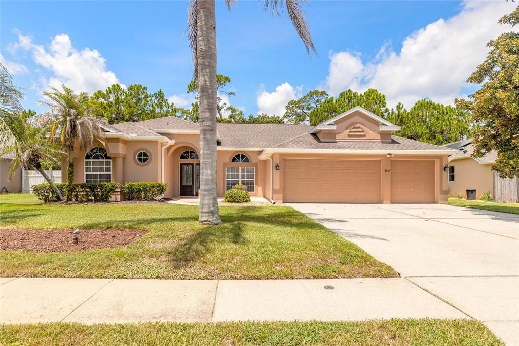 3817 BIRCH MOUNTAIN ROAD, PORT ORANGE, FL 32129