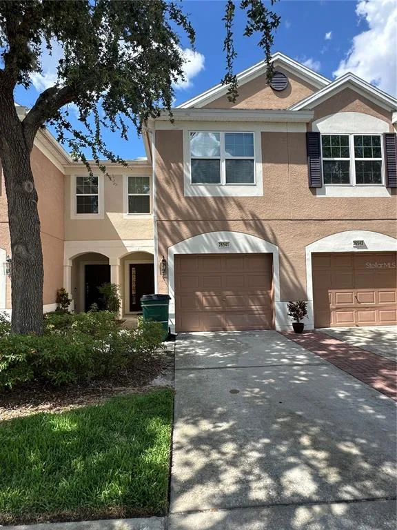 26541 CHIMNEY SPIRE LANE, WESLEY CHAPEL, FL 33544