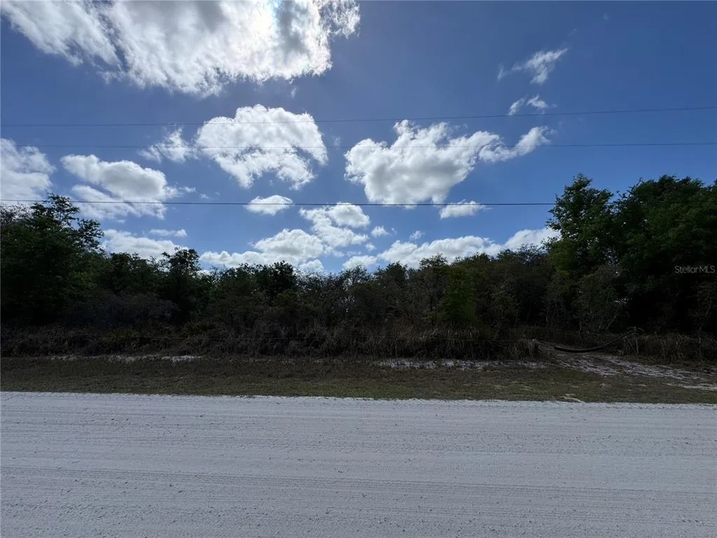 1873 W FOXGLOVE ROAD, AVON PARK, FL 33825