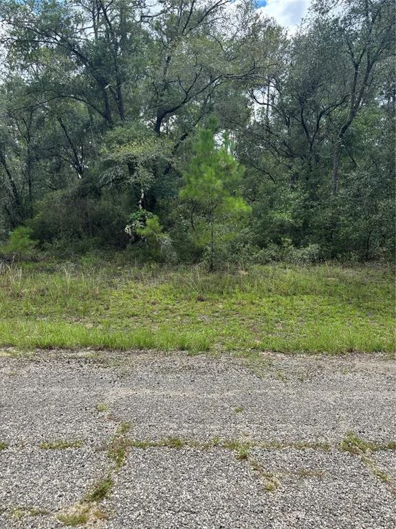 875 E ELSTON PLACE, CITRUS SPRINGS, FL 34434