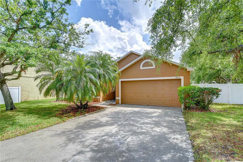 18303 ELMHURST LANE, TAMPA, FL 33647