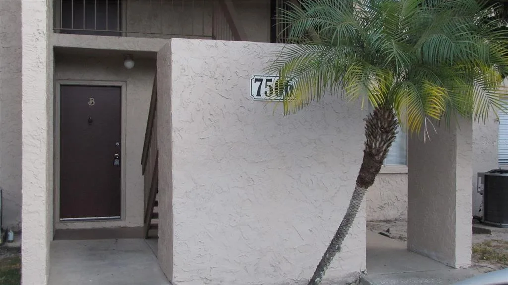 7506 NEEDLE LEAF PLACE # 56, TAMPA, FL 33617
