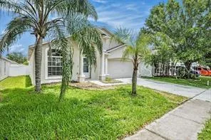 10039 CREEK BLUFF DRIVE, RIVERVIEW, FL 33578