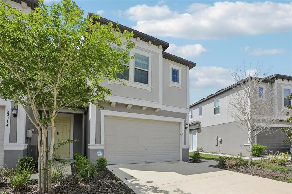 32010 BLUE PASSING LOOP, WESLEY CHAPEL, FL 33545