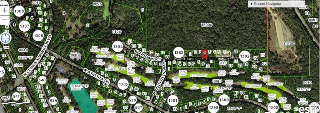 253 W ERIDANI CT, CITRUS SPRINGS, FL 34434