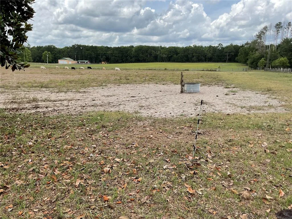 9750 NE 49TH STREET, BRONSON, FL 32621