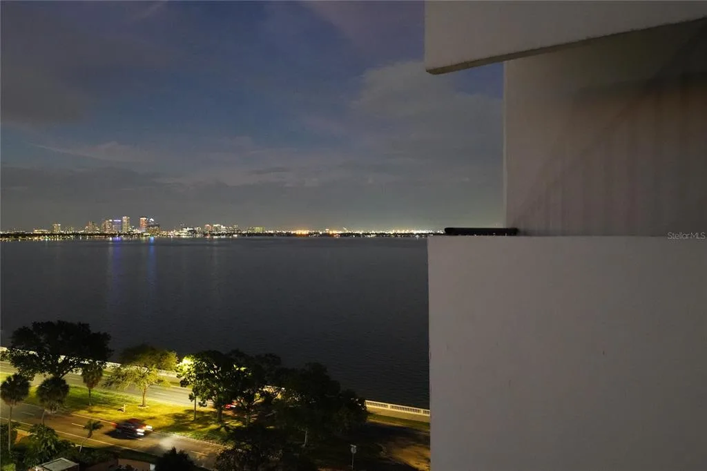 4141 BAYSHORE BOULEVARD # 1106, TAMPA, FL 33611