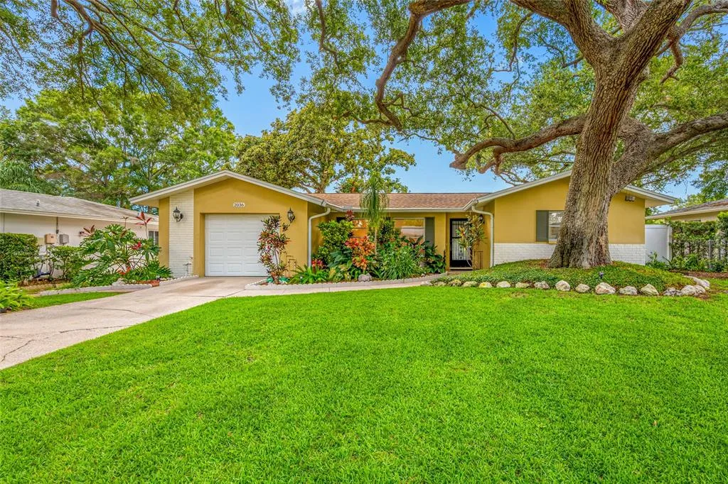 2036 FOREST DRIVE, CLEARWATER, FL 33763